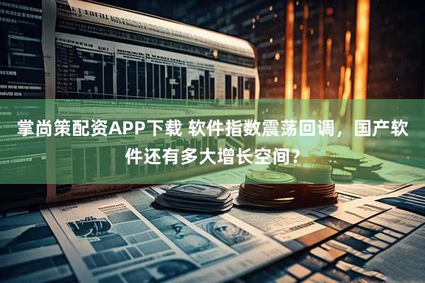 掌尚策配资APP下载 软件指数震荡回调,国产软件还有多大增长空间?