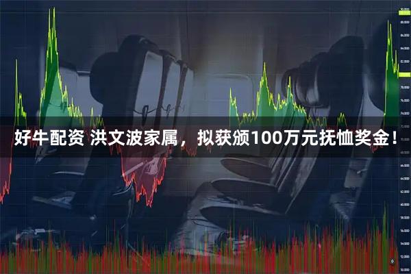 好牛配资 洪文波家属,拟获颁100万元抚恤奖金!