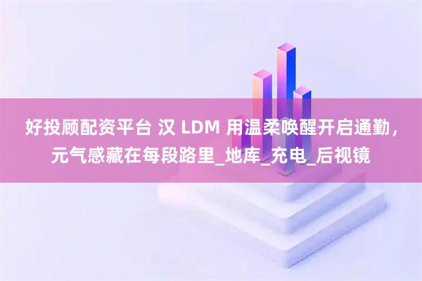 好投顾配资平台 汉 LDM 用温柔唤醒开启通勤,元气感藏在每段路里_地库_充电_后视镜