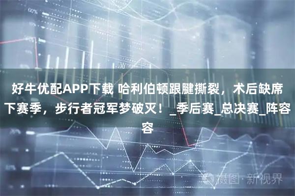 好牛优配APP下载 哈利伯顿跟腱撕裂，术后缺席下赛季，步行者冠军梦破灭！_季后赛_总决赛_阵容