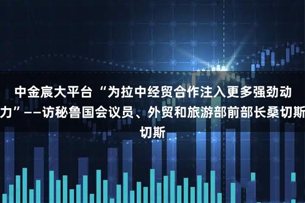 中金宸大平台 “为拉中经贸合作注入更多强劲动力”——访秘鲁国会议员、外贸和旅游部前部长桑切斯