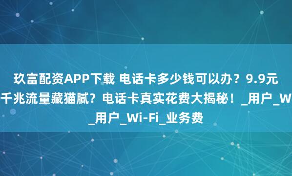 玖富配资APP下载 电话卡多少钱可以办？9.9元套餐有诈？千兆流量藏猫腻？电话卡真实花费大揭秘！_用户_Wi-Fi_业务费