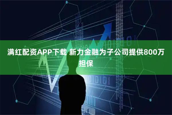 满红配资APP下载 新力金融为子公司提供800万担保